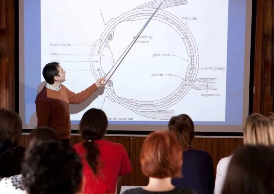 Anatomie van het oog